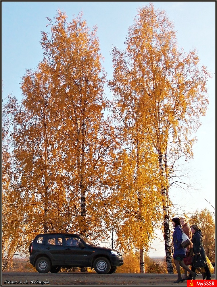 DSCN9906