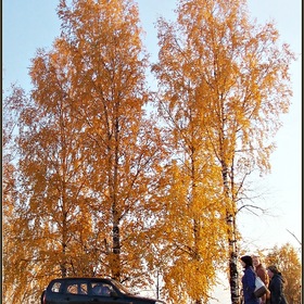 DSCN9906